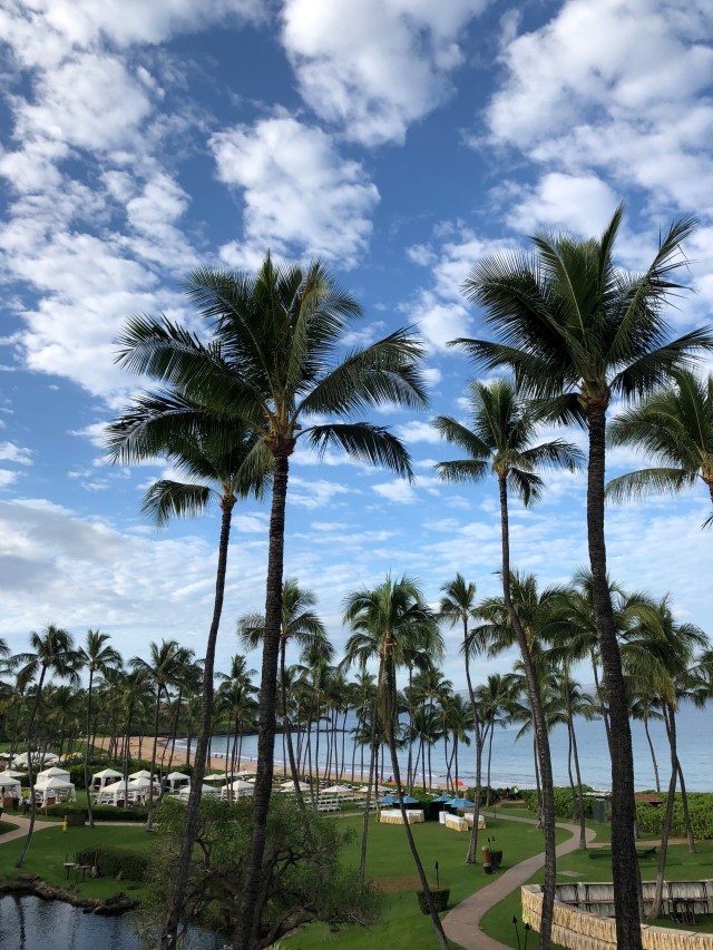 123E6DA2-C290-4C31-9074-D8313C7BF1CD